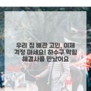 해결사의 집 이미지
