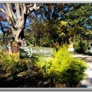 화가의정원 이미지