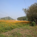 원전 약수터 이미지