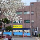 에스제이애드 - 강남구 압구정로18길 8 | 에스제이애드