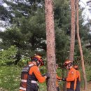 안성소방서, 봄철 산악사고 대비 구조대원 특별훈련 실시 이미지