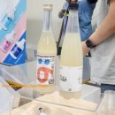 안성연화마을푸드뱅크 | 2024 제3회 대한민국 막걸리 엑스포 막스포 첫째 날 방문! 시음 추천과 부스 후기