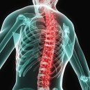 바로나한의원 이미지