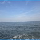 킹콩낚시