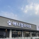 라이프 동물병원 | 도시 실내 아이와 가볼만한 곳] 먹이주기 체험 가능한 동물카페, 애니멀라이프 이용후기!(에어바운스 ⭕️)