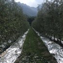 순이네농장 이미지