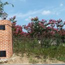 동호농장 이미지