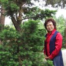 덕화농장 이미지