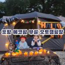 포항배드민턴교실 | 경북 넓은 운동장과 자연체험이 가능한 캠핑장, 애견동반 캠핑장 추천_'에코팜 부설 오토 캠핑장'