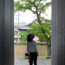 천비농장 | [여행] 다카마쓰/나오시마 (일본 소도시) 여행기 2 - 나오시마 페리/TVC 자전거 렌탈/집 프로젝트/아이...