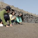 미소민박 이미지