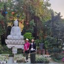 베트남 아트 토크 | 2026.1ㅣ베트남 여행