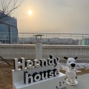 현대애견 | 남양주 다산현대아울렛 애견놀이터 흰디하우스 방문후기