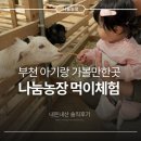 메추리농장 | 부천 아기랑 가볼만한곳 나눔농장 먹이체험 후기(10개월 아기도 가능)