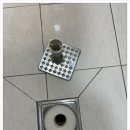 맑은창연구소