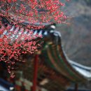 영남자원 | 조선 시대 왕과 지방 행정의 변화 (호남, 영남, 관동)