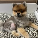 리버동물의료센터 이미지