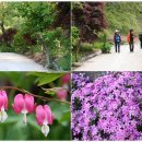 대야펜션 이미지