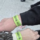 주식회사 더펫센터 | 광주 2026 케이펫페어 박람회 후기 라인업, 제품 추천