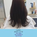 울산 머리잘하는곳 두쏠헤어 홈플러스 중구점 레이어드펌 맛집 후기