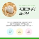 선사치과기공소 이미지