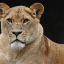 당산오돌 길동점 이미지