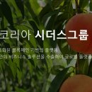 ‘1조원대 다단계 사기’ 휴스템코리아 회장 등 70명 검찰 송치 이미지