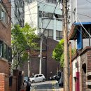 (주)퍼플네스트 | 250512~250918_주간일기