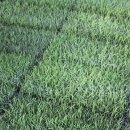 삼덕농장 이미지