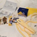 룰루랄라 오락실 | 강아지랑 속초 여행하기 🐾 카시아호텔 반려견 동반 객실 후기