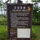 오금어린이공원 - 2478 | 오금어린이공원