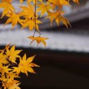 프린스여관 이미지