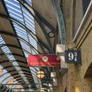 스타폴 | [올랜도신혼여행] 17일차. 유니버셜 스튜디오 2 Park 가는 날! 유니버셜 아일랜드 오브 어드벤처🎢