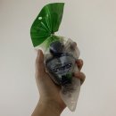 지에스25(GS25)대전대정점 이미지