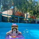 큰집글램핑 이미지