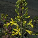 양지어린이집 이미지