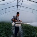 김주석농장 이미지