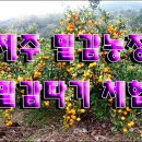 청파농장 이미지