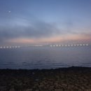 방아머리공원(솔밭) 이미지