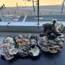 대박 | 광안리 조개구이 가성비대박 맛집 후기