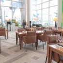 소노캄 고양 이미지