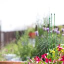 온누리피부과의원 이미지