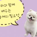 모래내약국 이미지