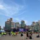 밍글'S | 2025 나이트레이스 인 부산 후기. 광복 80주년 광안대교를 달린 나의 밤