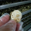 철원농장 이미지