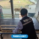 백세건강의료기 이미지