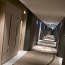 세종호텔 | 코트야드 바이 메리어트 세종 호텔 추천 객실 후기