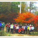 양자산 산행 사진 11월6일 이미지