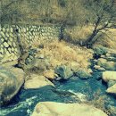 청도그린나래캠핑장 이미지