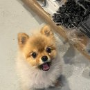 커피.윤스